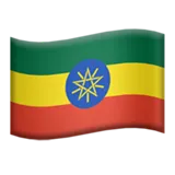 🇪🇹 旗幟：埃塞俄比亞 表情符號複製粘貼 🇪🇹