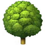 🌳 Løvfældende Træ Emoji Kopier Indsæt 🌳