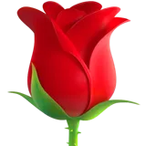 🌹 गुलाब का फूल इमोजी कॉपी पेस्ट 🌹