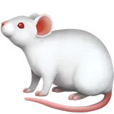 🐁 老鼠 表情符號複製粘貼 🐁