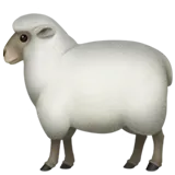 🐑 母羊 表情符號複製粘貼 🐑