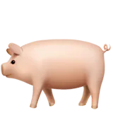 🐖 सूअर इमोजी कॉपी पेस्ट 🐖