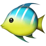 🐠 热带鱼 表情符号复制粘贴 🐠