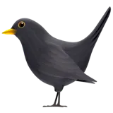 🐦‍⬛ Schwarzer Vogel Emoji Kopieren Einfügen 🐦‍⬛