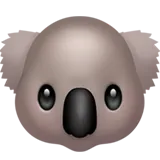 🐨 Коала Emoji Копіювати Вставити 🐨