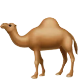 🐪 駱駝 表情符號複製粘貼 🐪