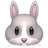 🐰 Обличчя Кролика Emoji Копіювати Вставити 🐰
