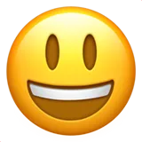 😃 Усміхнене Обличчя З Великими Очима Копіювати вставку Emoji 😃