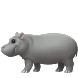 🦛 Hipopotam Kopiuj i Wklej Emoji 🦛