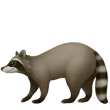 🦝 Raccoon Emoji Copy Paste 🦝