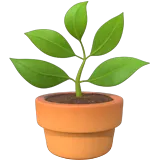 🪴 Plante En Pot Emoji Copier Coller 🪴