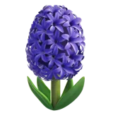 🪻 Hyacint Emoji Kopiëren Plakken 🪻