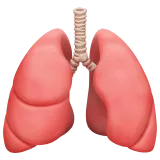 🫁 Lungs Emoji Copy Paste 🫁