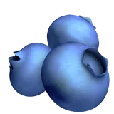 🫐 蓝莓 表情符号复制粘贴 🫐