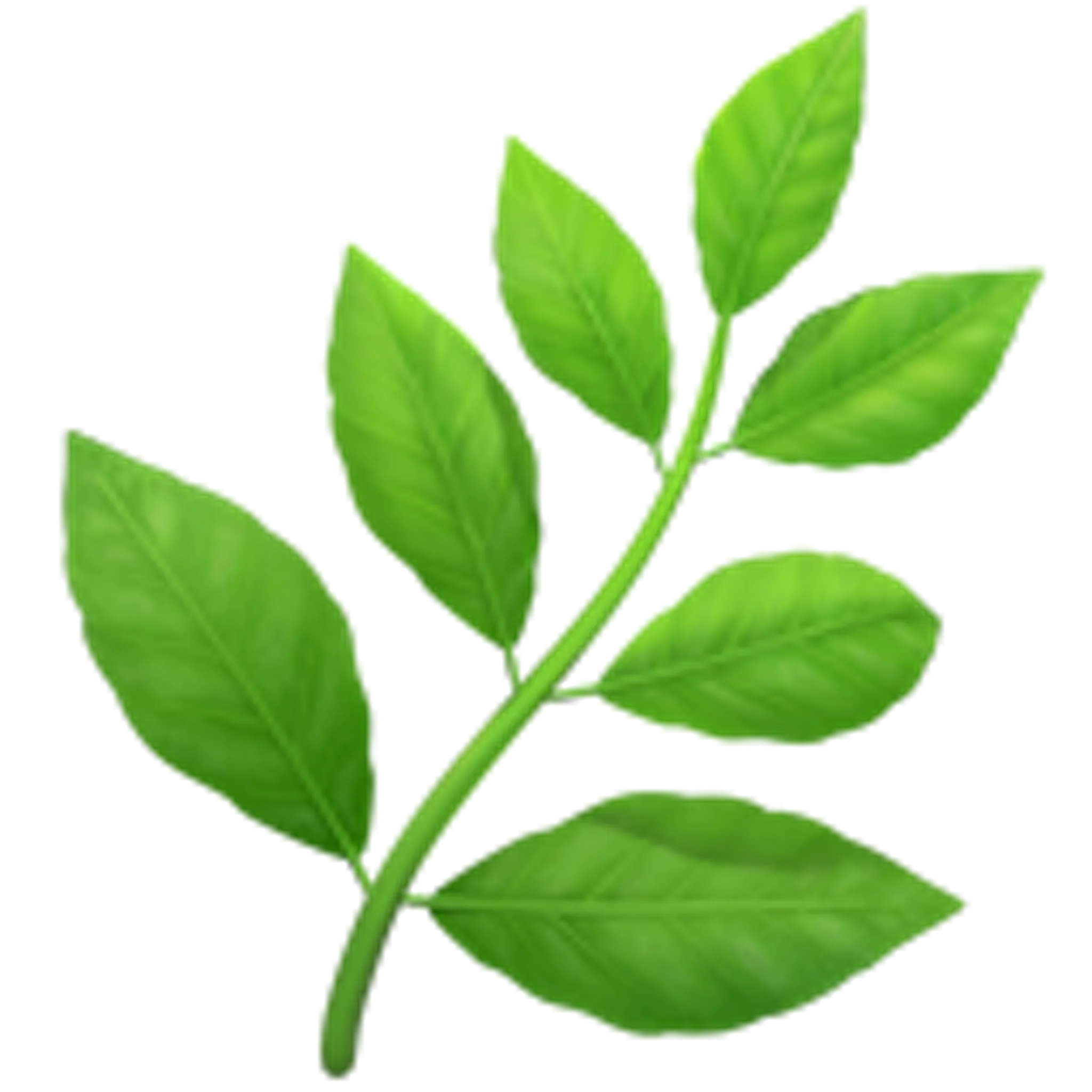 🌿 Herb Emoji Copy Paste 🌿