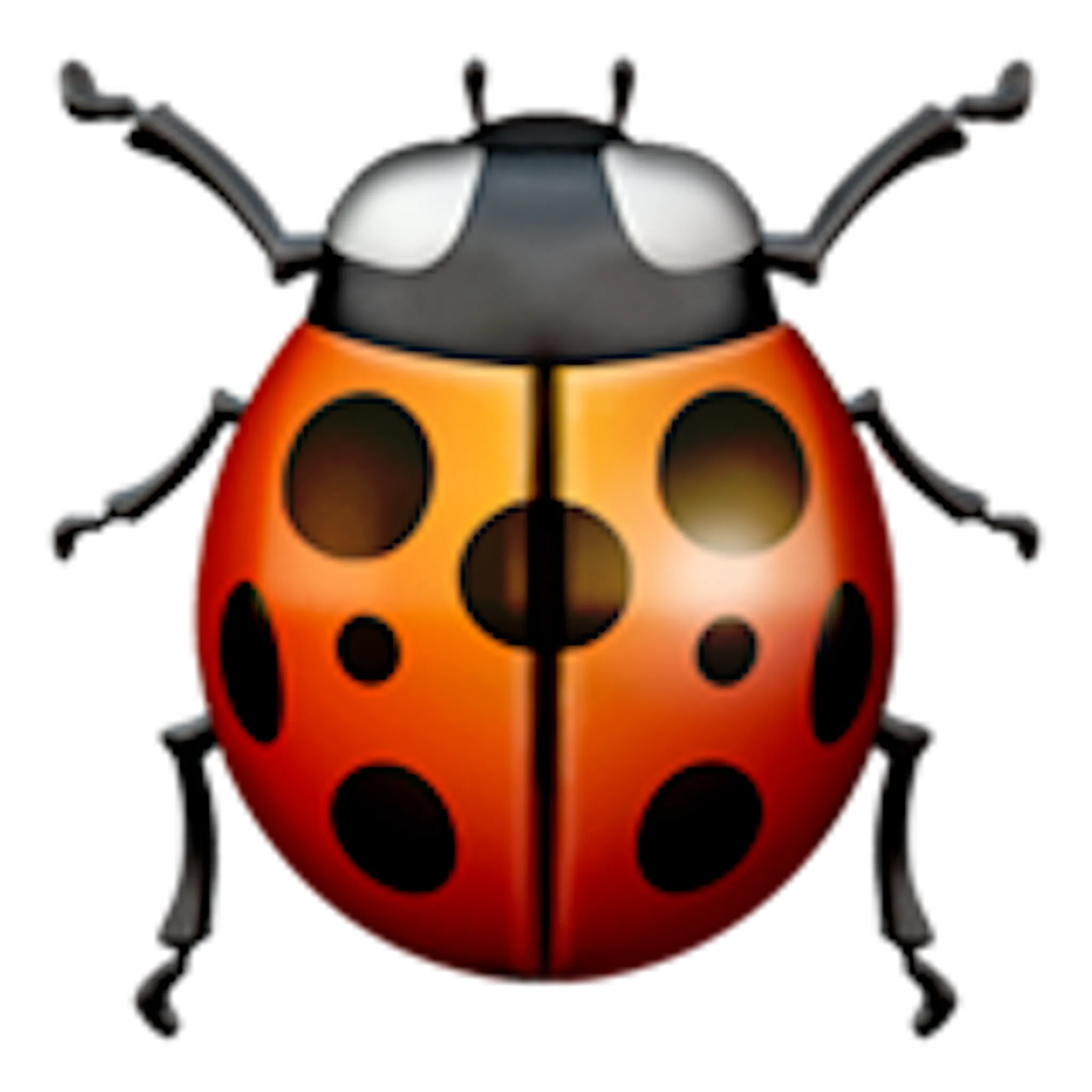 lady-beetle-emoji-copy-paste