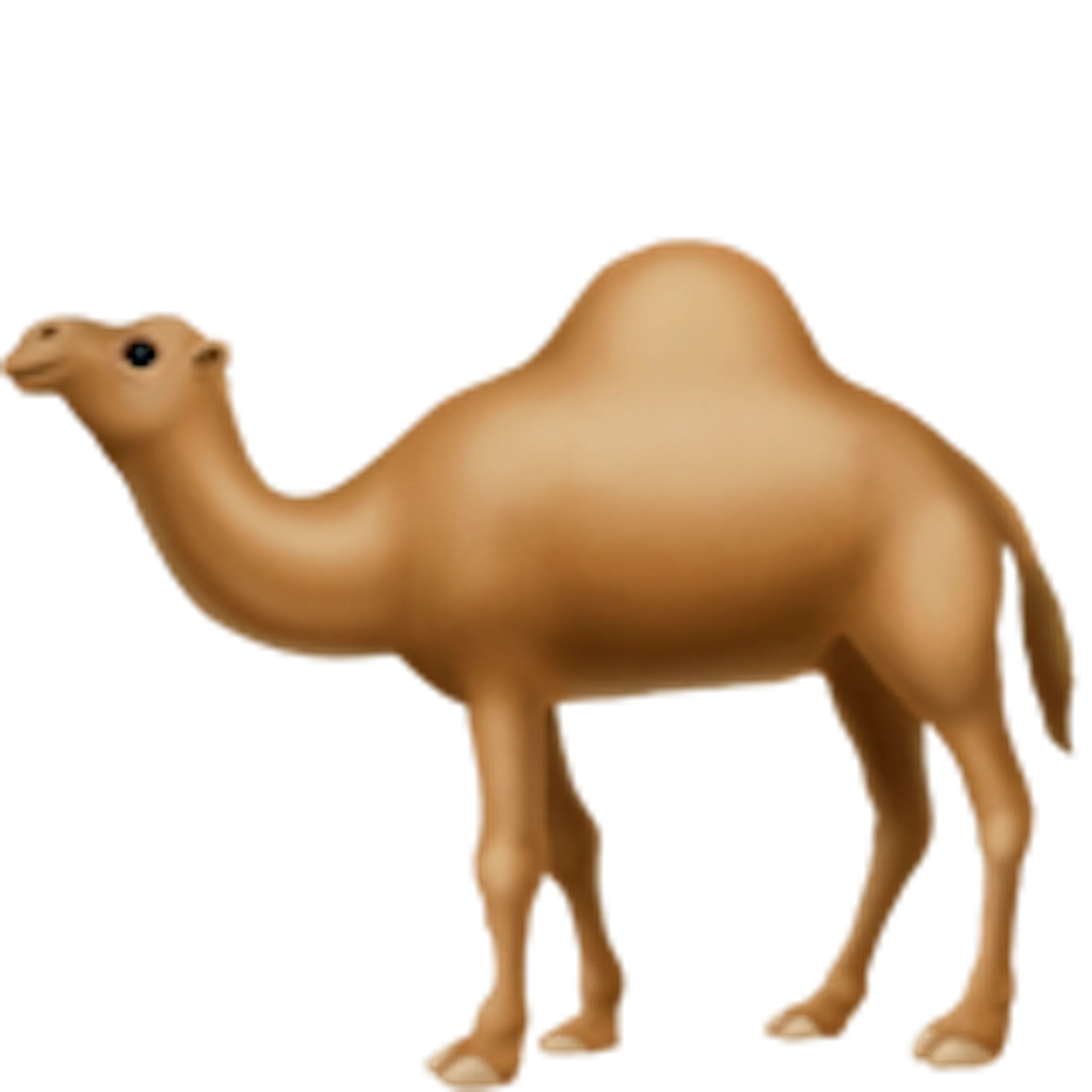 camel-emoji-copy-paste