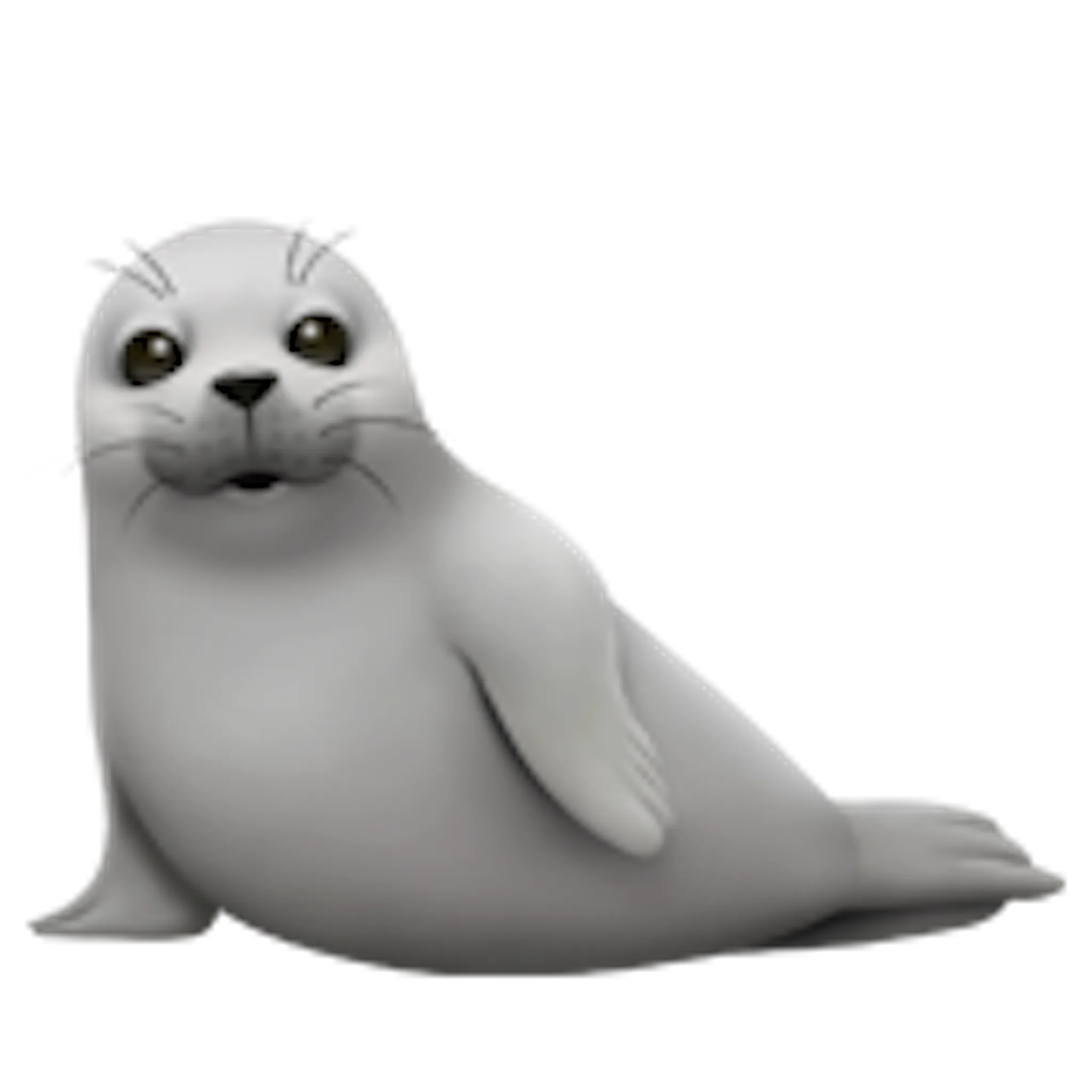 🦭 Seal Emoji Copy Paste 🦭